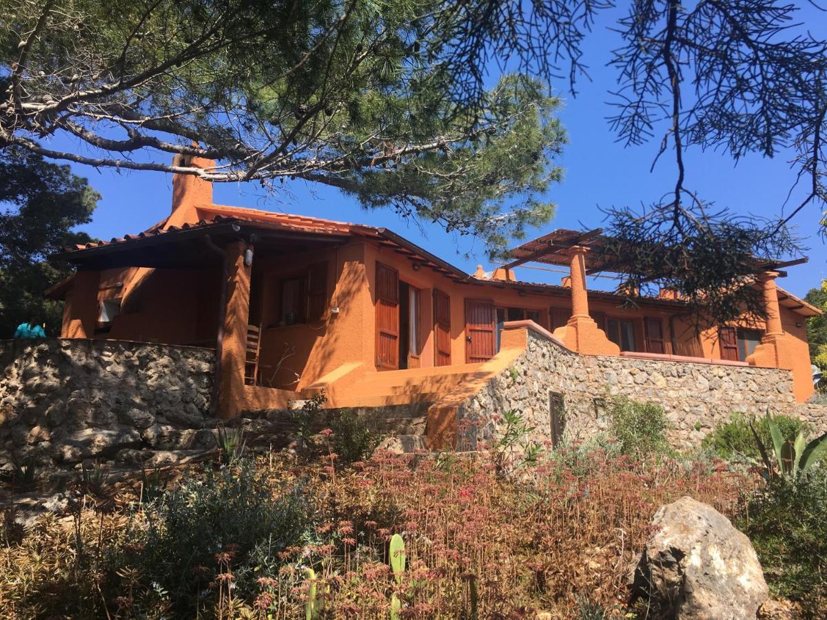 Casa Diana Bed & Breakfast Isola di Giannutri Eksteriør bilde