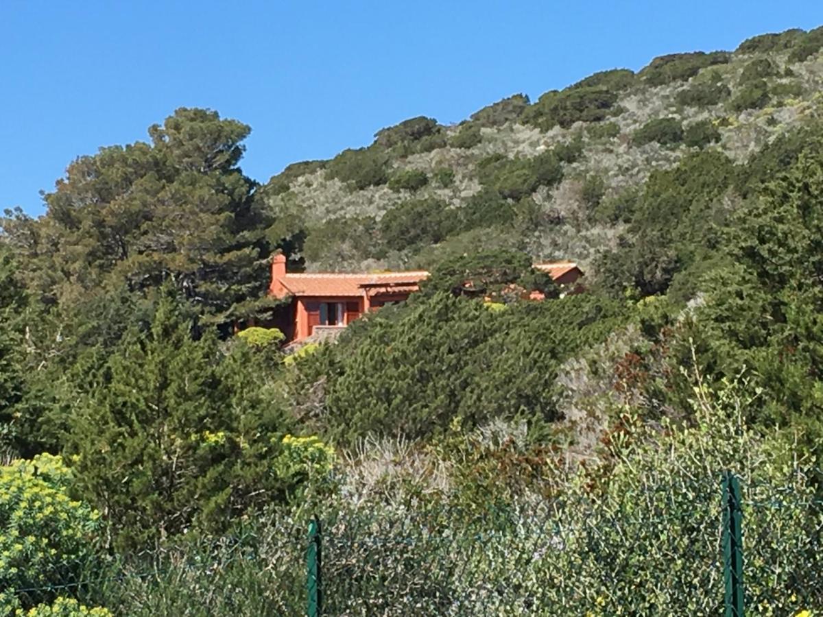 Casa Diana Bed & Breakfast Isola di Giannutri Eksteriør bilde
